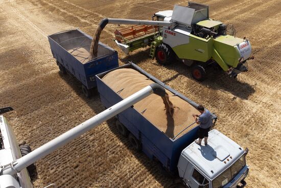 Russia Agriculture Winter Wheat Harvesting