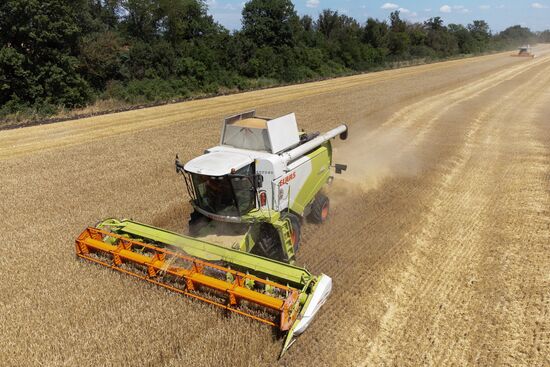 Russia Agriculture Winter Wheat Harvesting