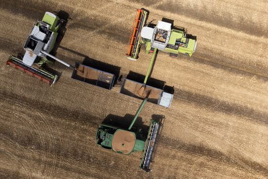 Russia Agriculture Winter Wheat Harvesting