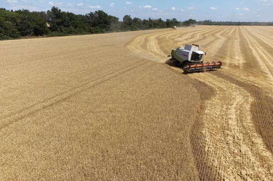 Russia Agriculture Winter Wheat Harvesting