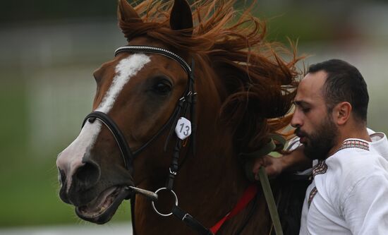 Russia BRICS Sports Games Equestrian Dzhigitovka