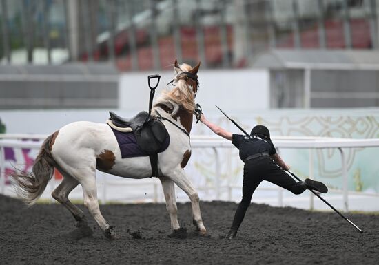 Russia BRICS Sports Games Equestrian Tent Pegging