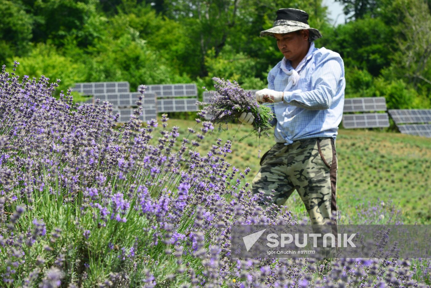 Russia Perfumery Cosmetics Industry