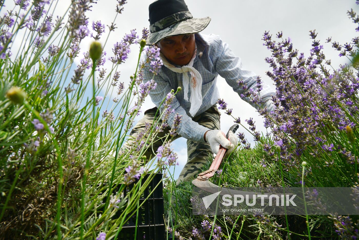 Russia Perfumery Cosmetics Industry