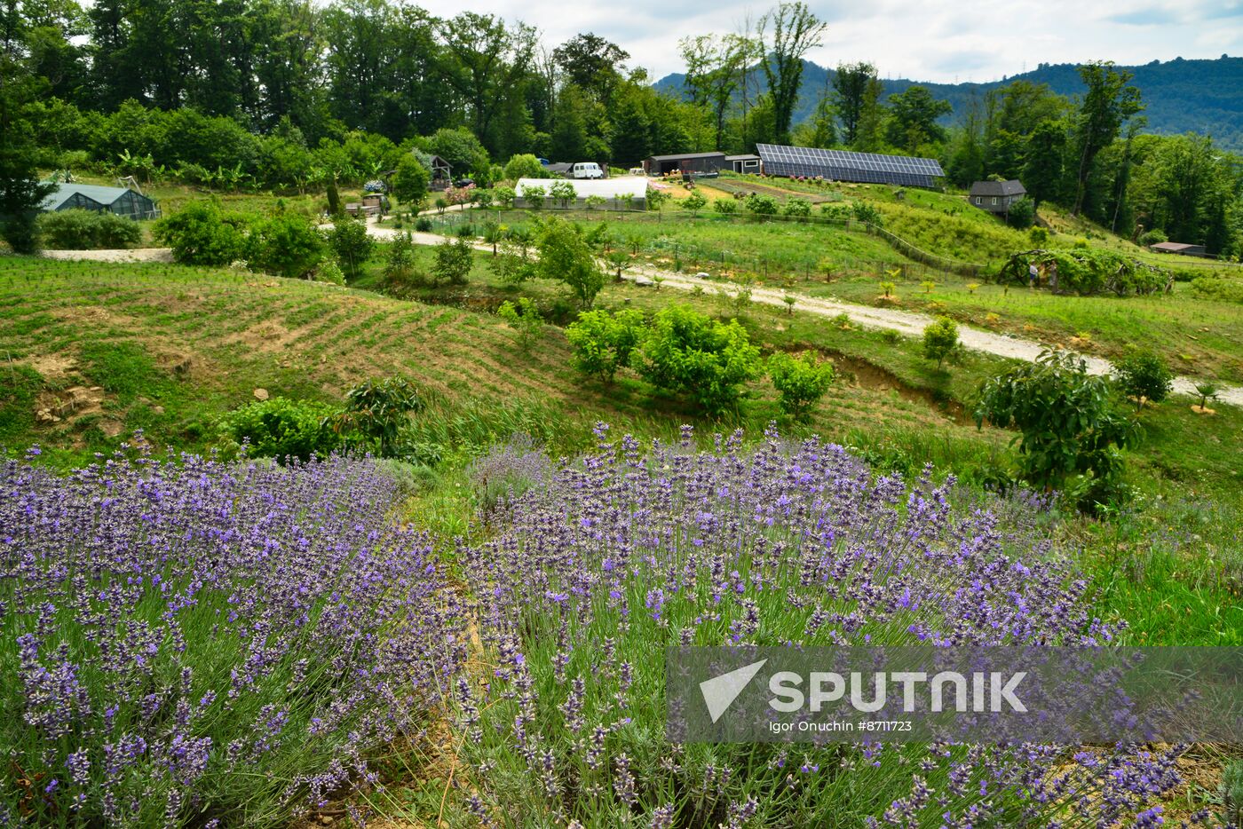 Russia Perfumery Cosmetics Industry