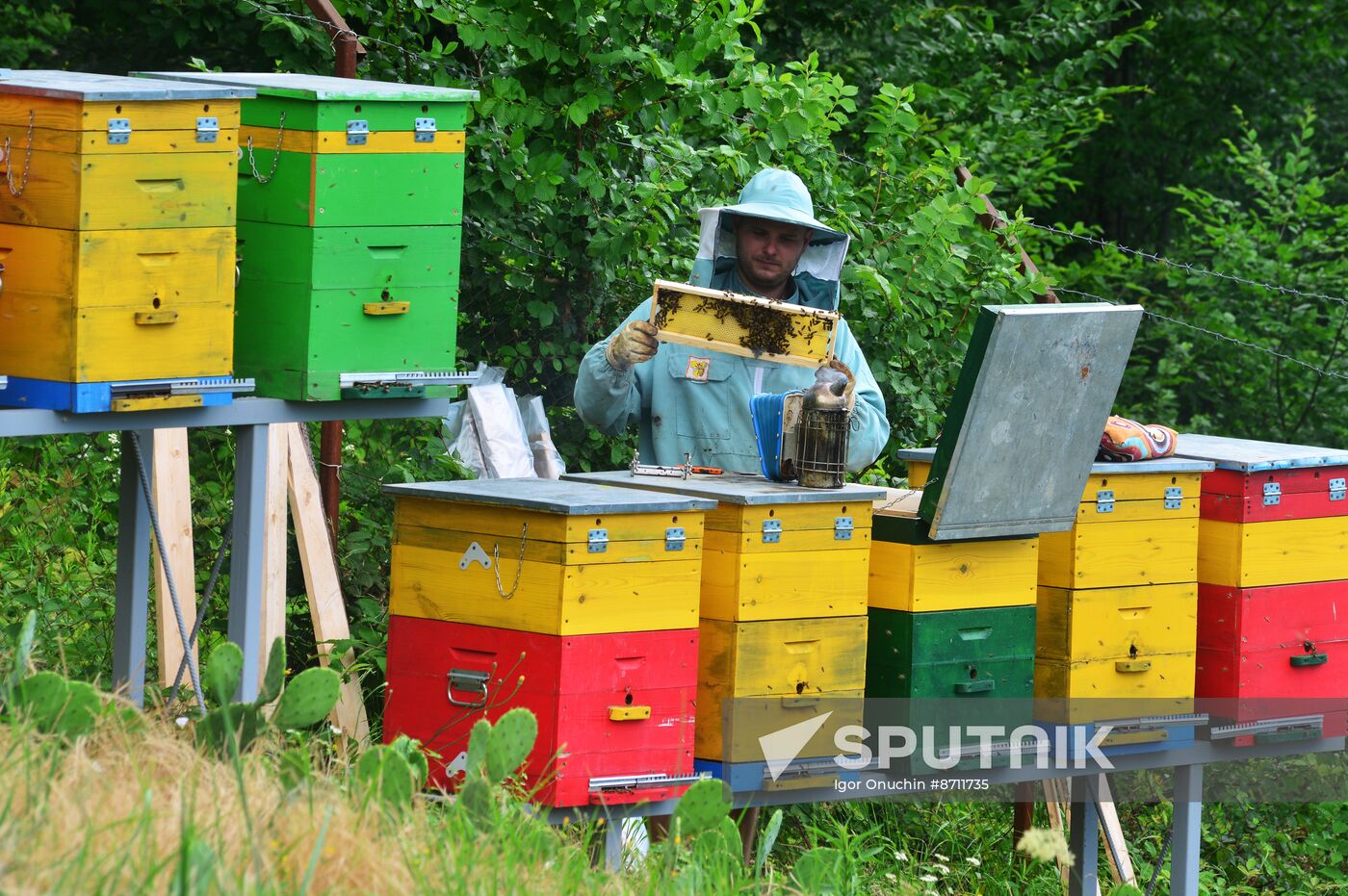 Russia Perfumery Cosmetics Industry