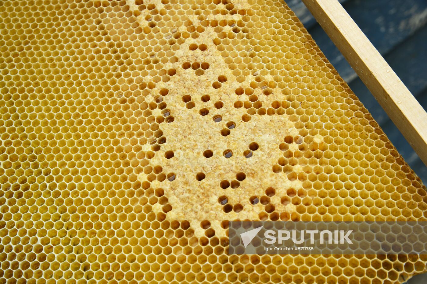 Russia Perfumery Cosmetics Industry