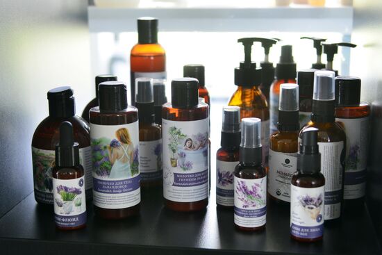 Russia Perfumery Cosmetics Industry