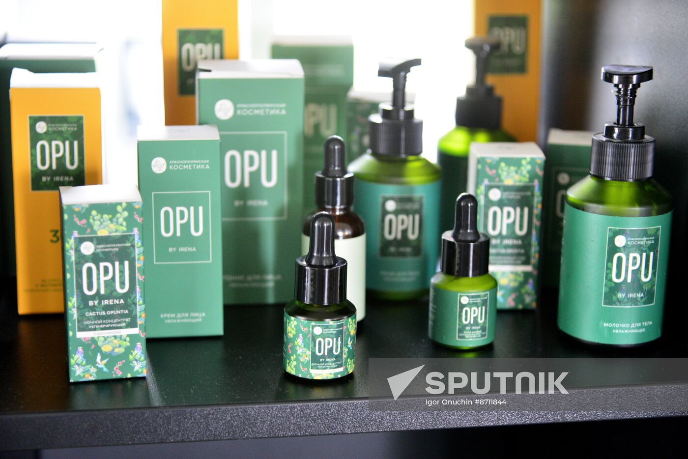 Russia Perfumery Cosmetics Industry