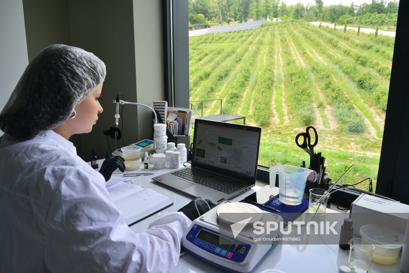 Russia Perfumery Cosmetics Industry