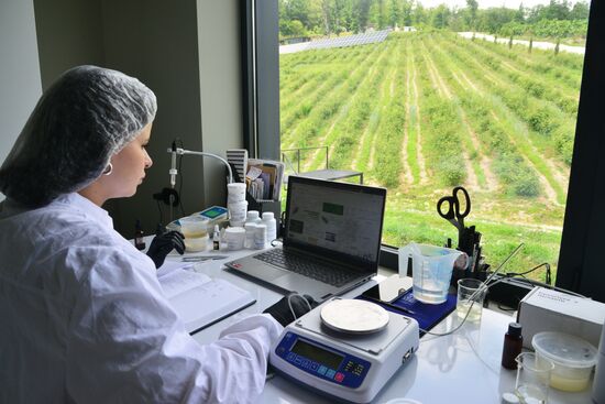 Russia Perfumery Cosmetics Industry