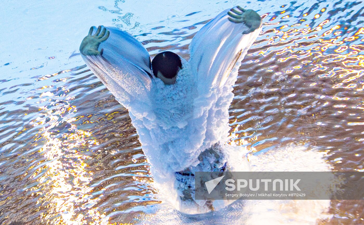 Russia BRICS Sports Games Diving Tower 10m Synchro