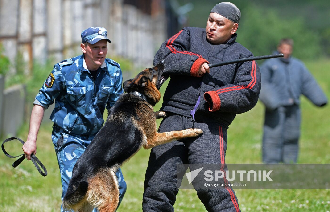 Russia Dog Handlers Competition