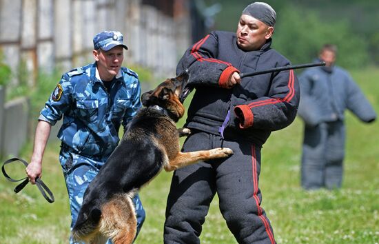 Russia Dog Handlers Competition