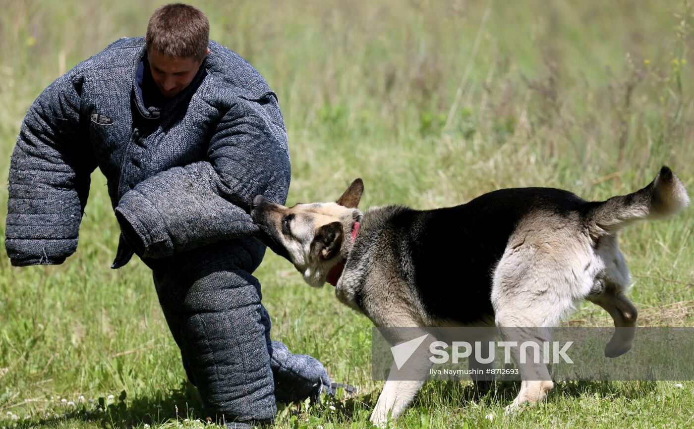 Russia Dog Handlers Competition