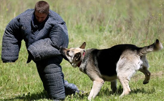 Russia Dog Handlers Competition