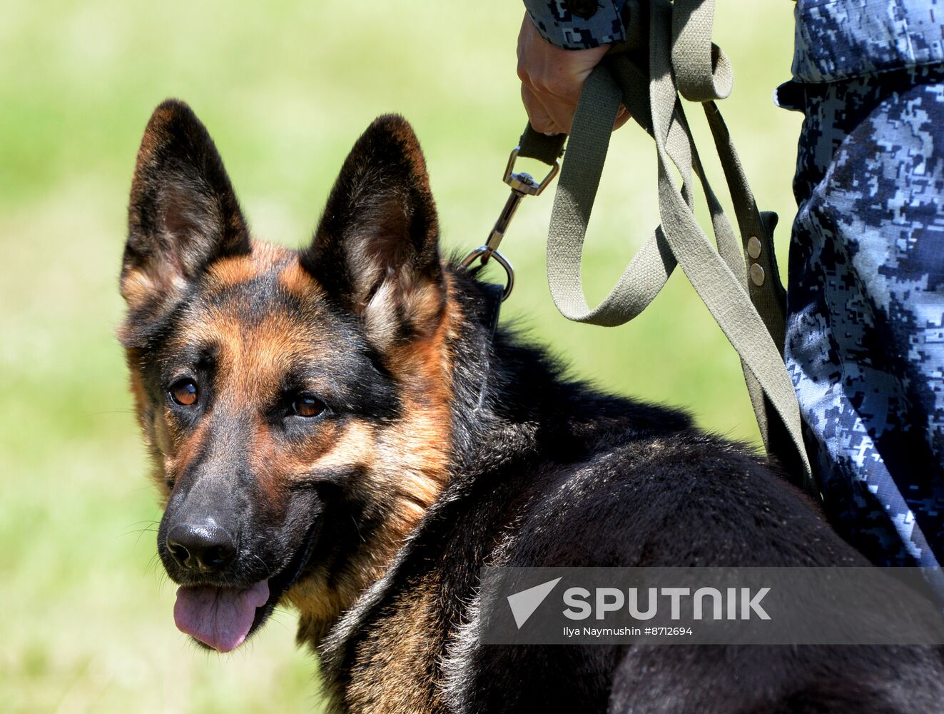 Russia Dog Handlers Competition