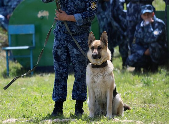 Russia Dog Handlers Competition