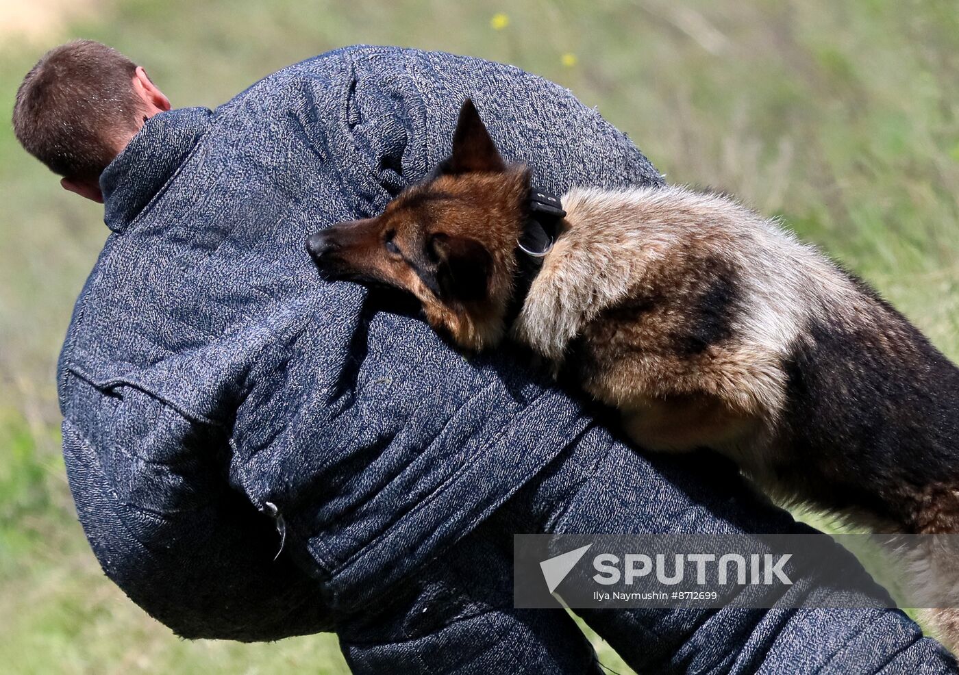 Russia Dog Handlers Competition