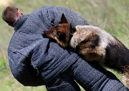 Russia Dog Handlers Competition
