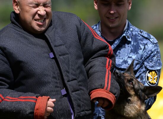 Russia Dog Handlers Competition