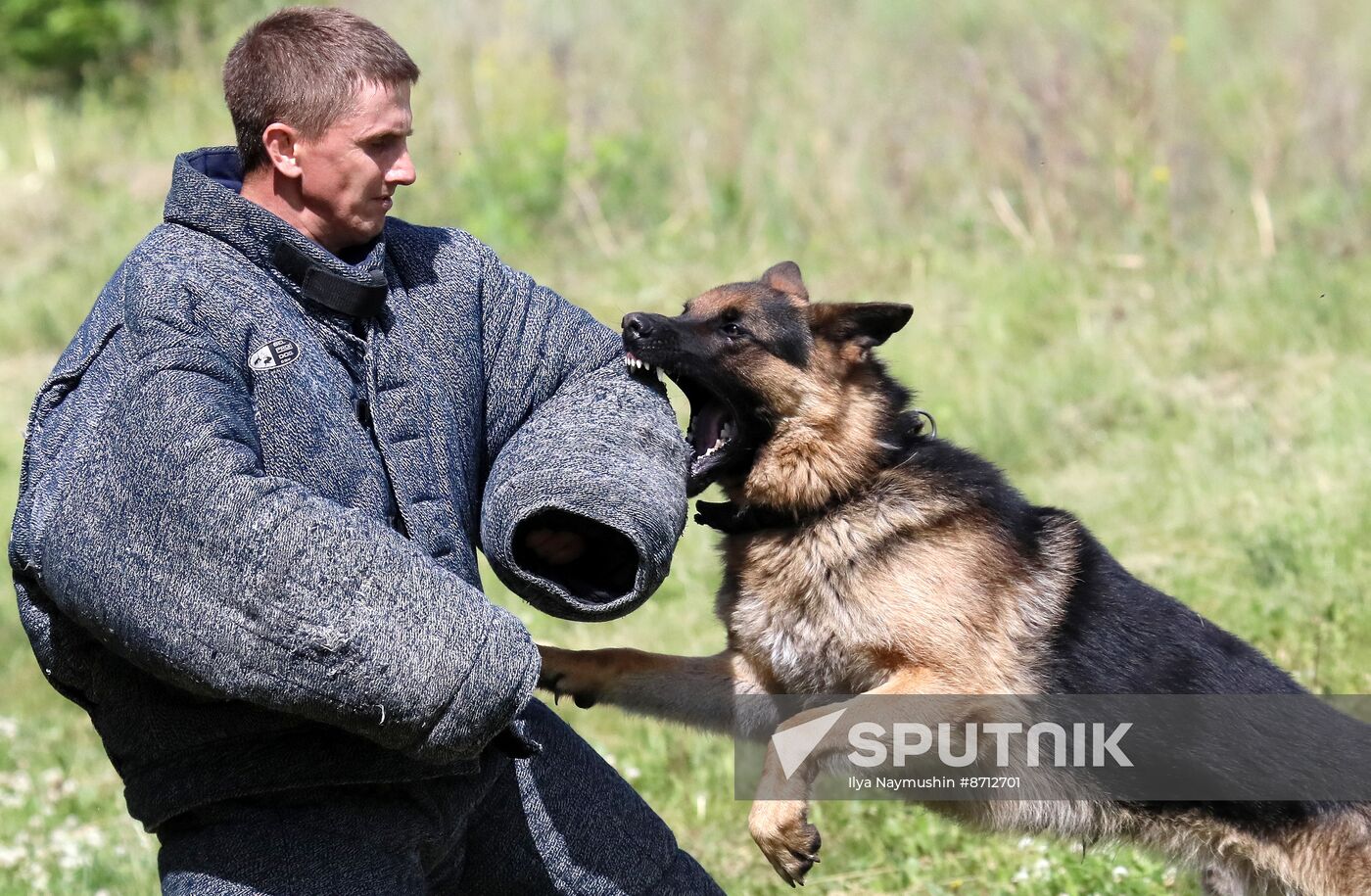 Russia Dog Handlers Competition