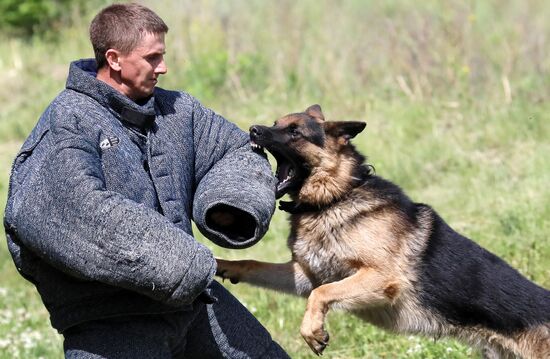 Russia Dog Handlers Competition