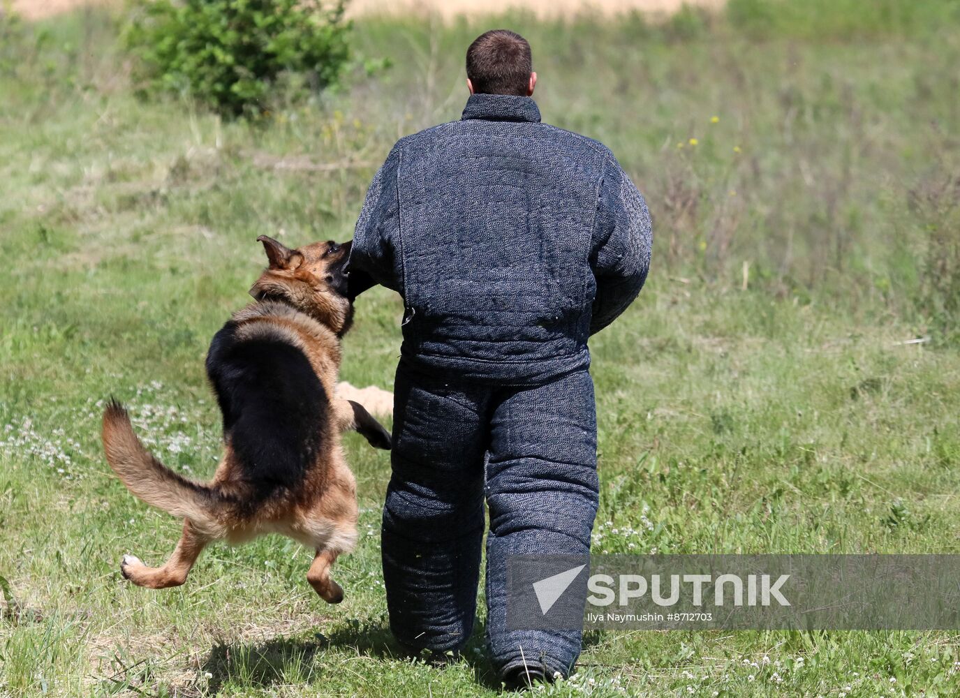 Russia Dog Handlers Competition