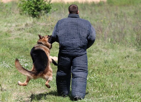 Russia Dog Handlers Competition