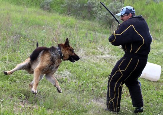 Russia Dog Handlers Competition