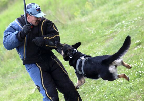 Russia Dog Handlers Competition