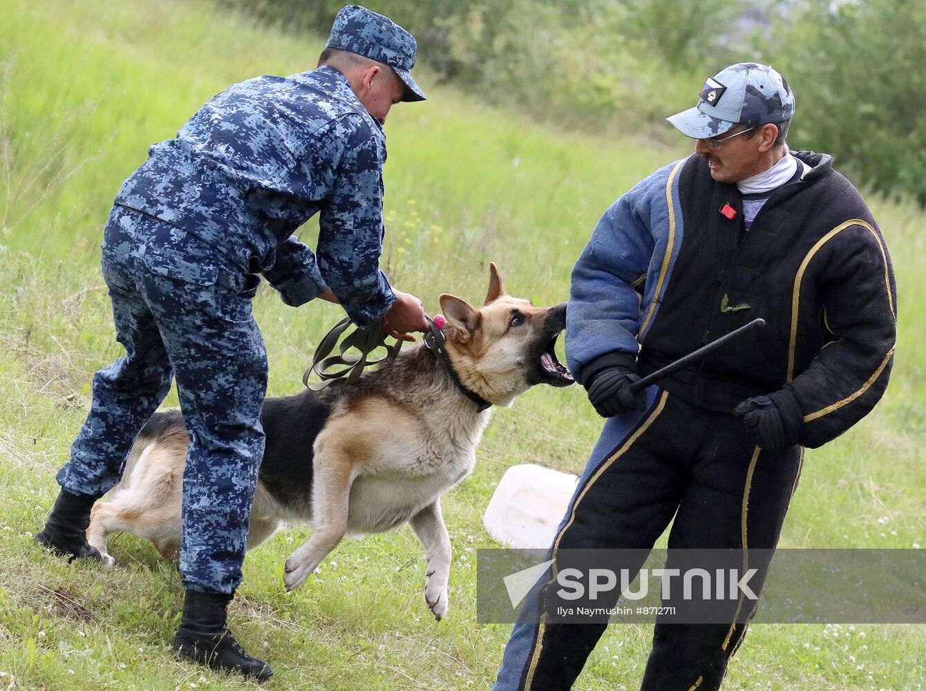 Russia Dog Handlers Competition