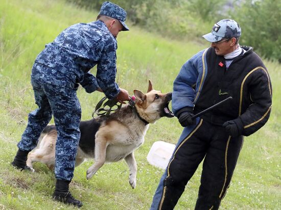 Russia Dog Handlers Competition