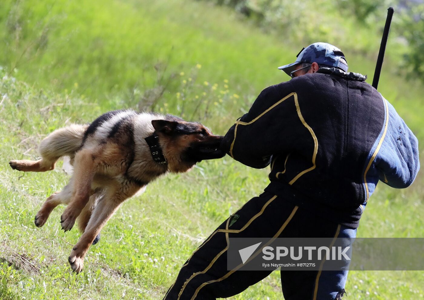 Russia Dog Handlers Competition