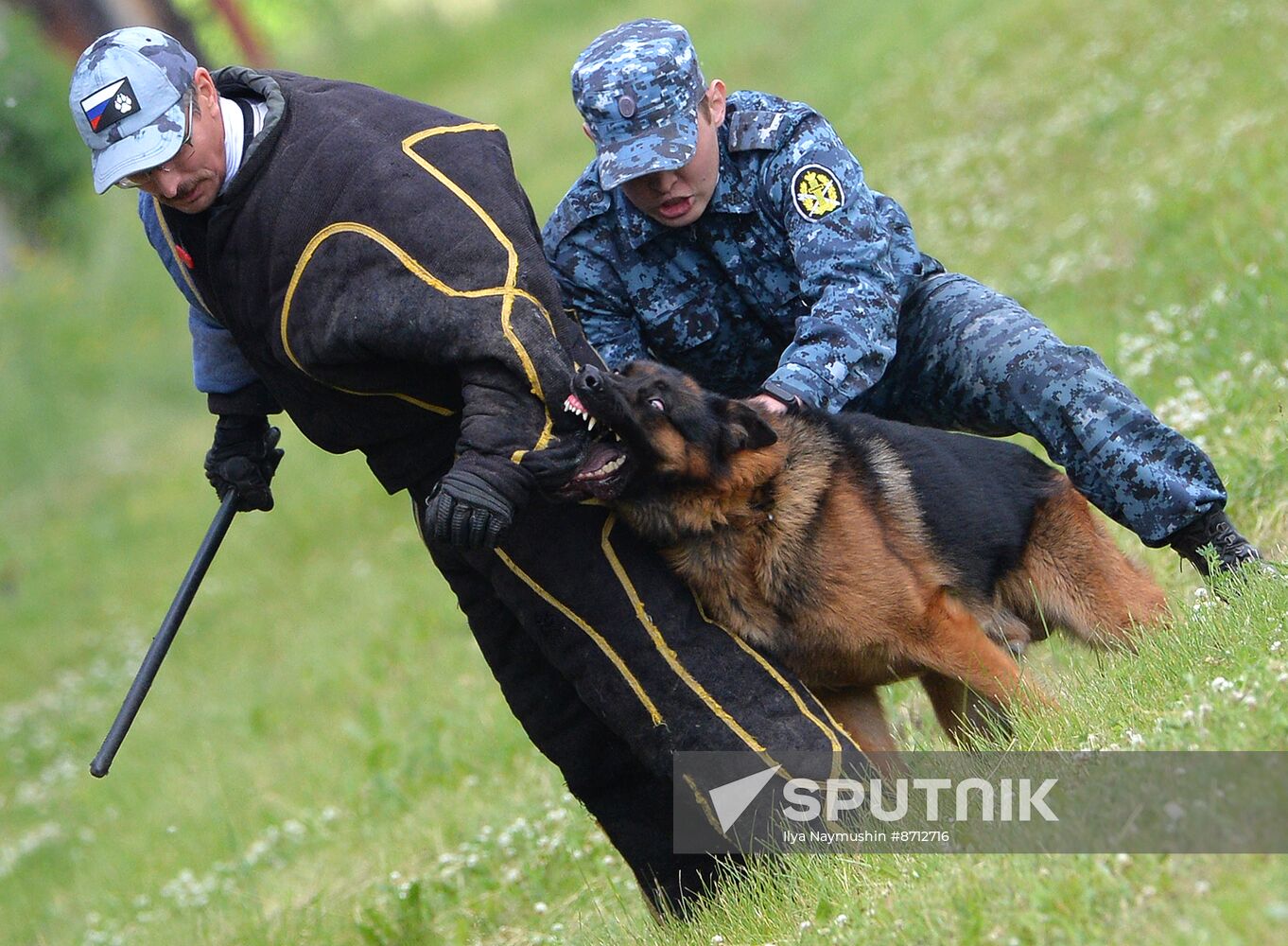 Russia Dog Handlers Competition