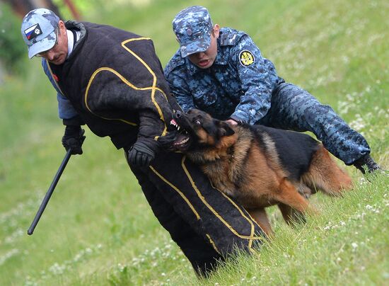 Russia Dog Handlers Competition