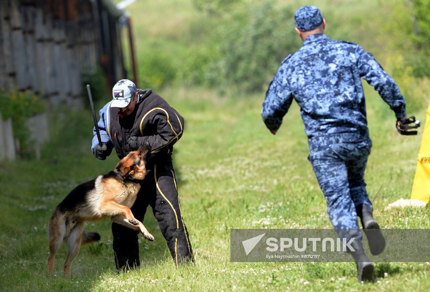 Russia Dog Handlers Competition