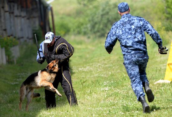 Russia Dog Handlers Competition