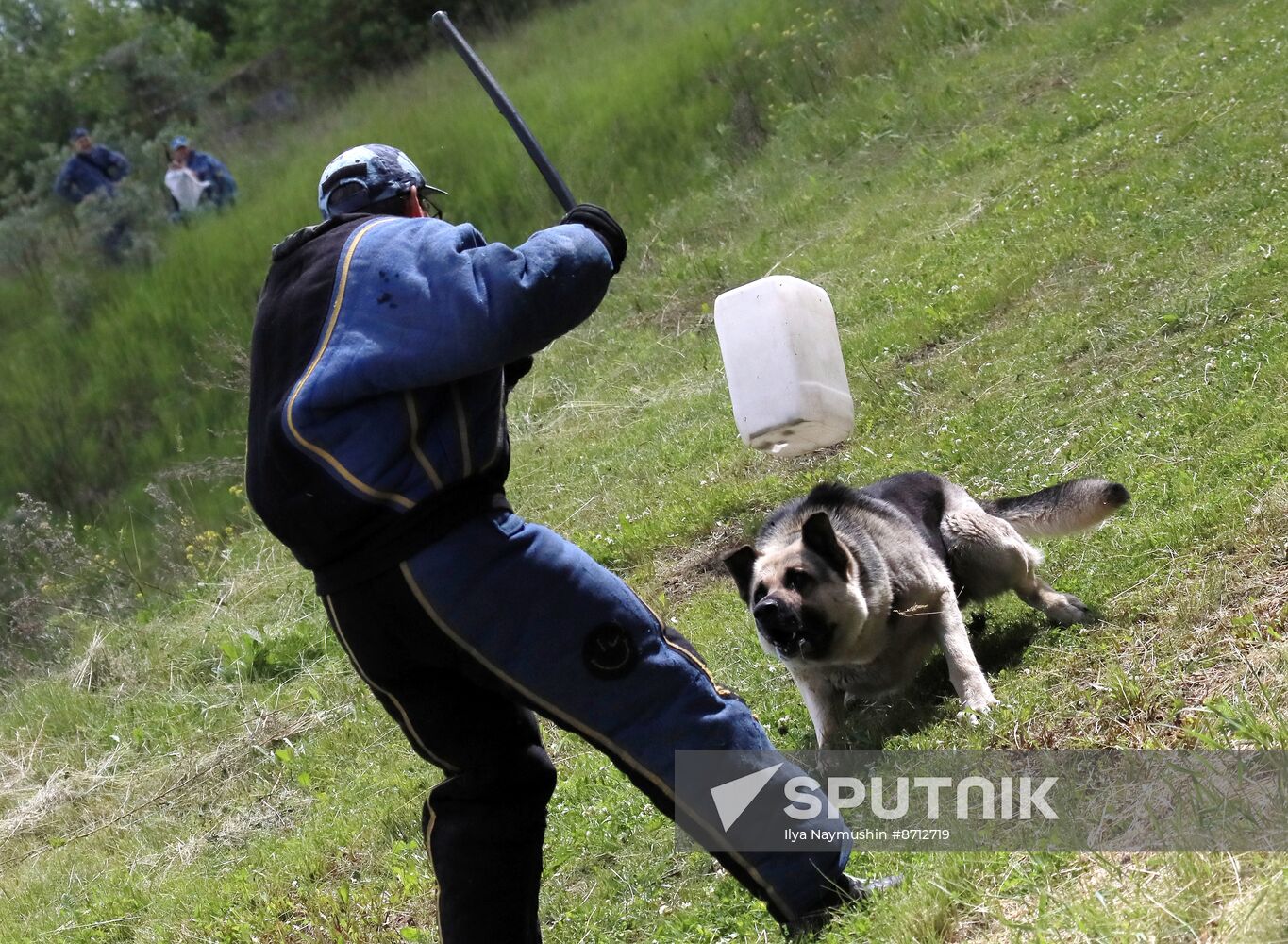 Russia Dog Handlers Competition