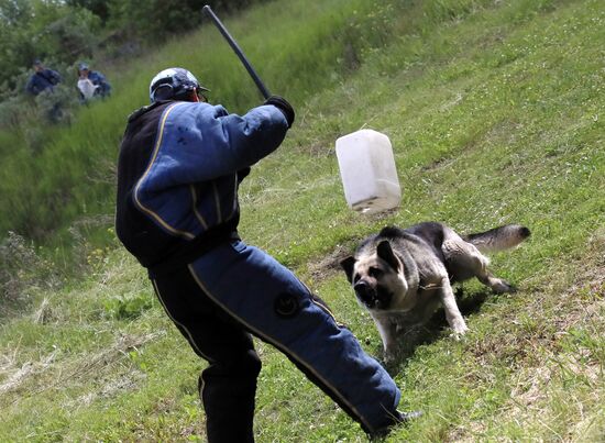 Russia Dog Handlers Competition