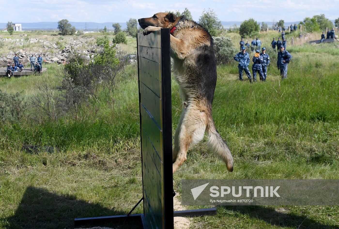 Russia Dog Handlers Competition