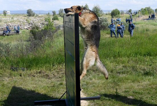 Russia Dog Handlers Competition