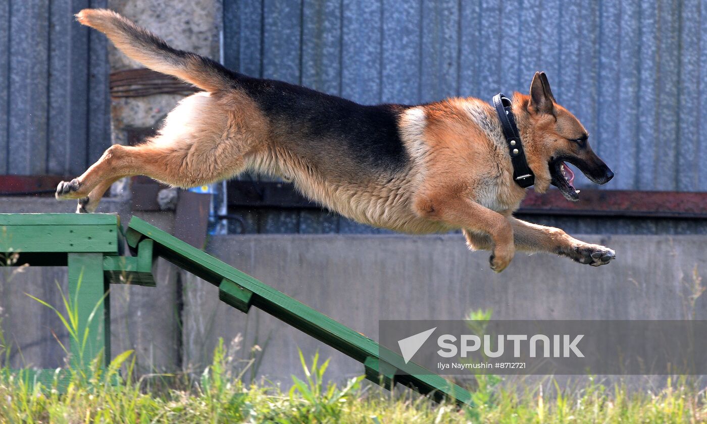 Russia Dog Handlers Competition