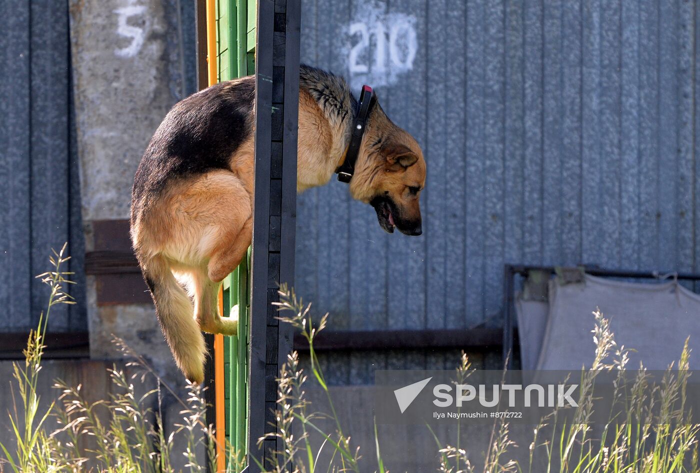 Russia Dog Handlers Competition