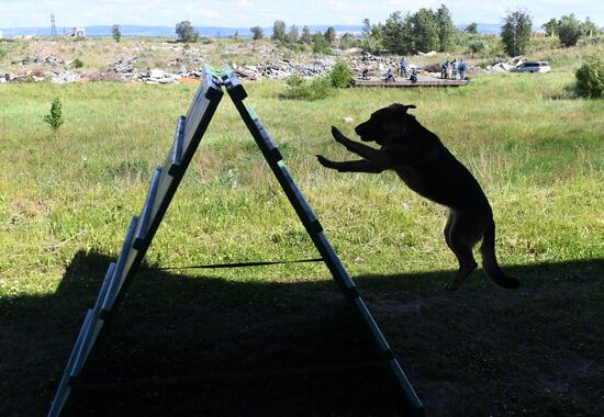 Russia Dog Handlers Competition