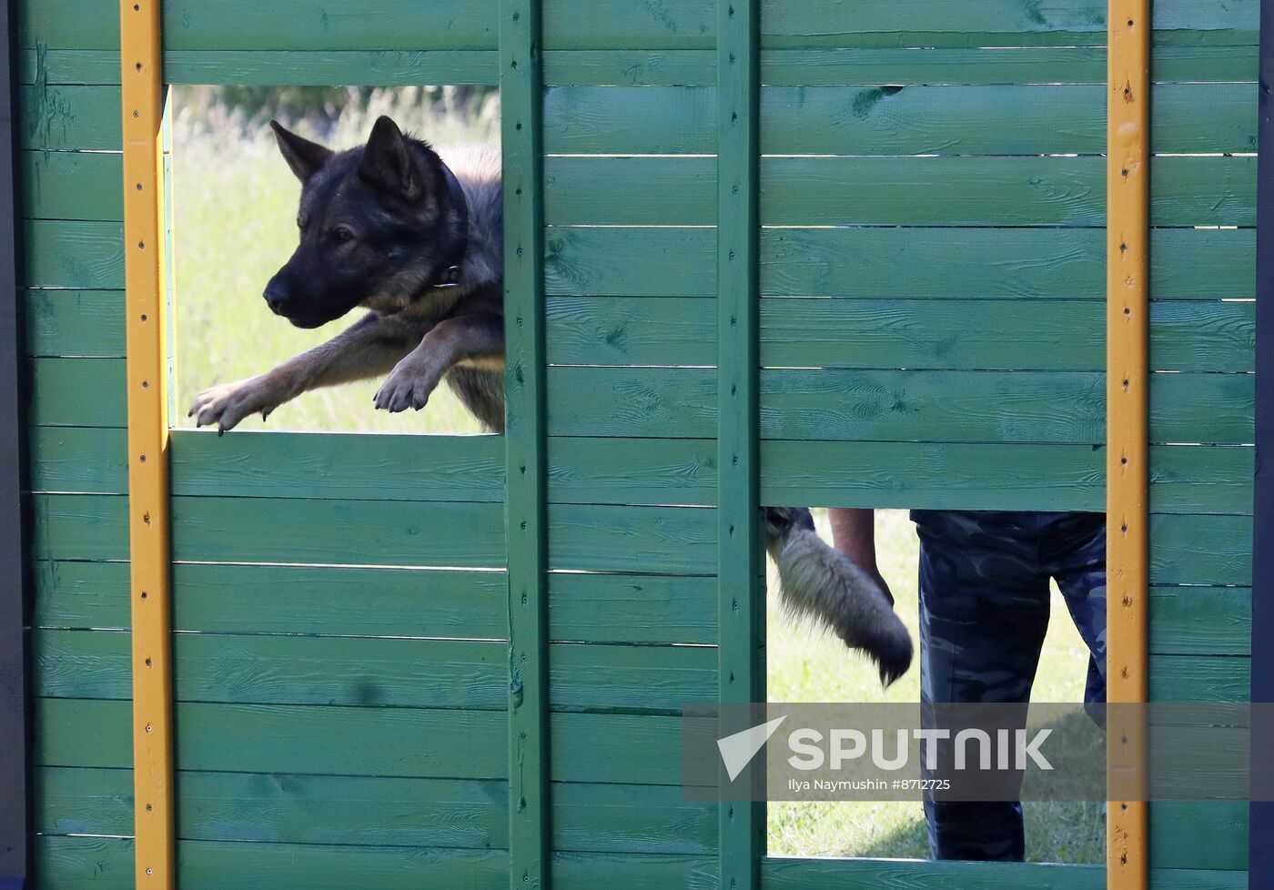 Russia Dog Handlers Competition