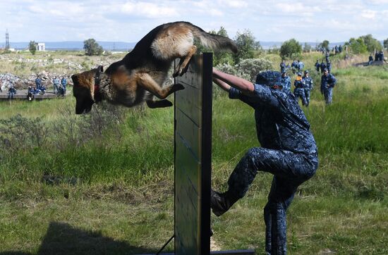 Russia Dog Handlers Competition