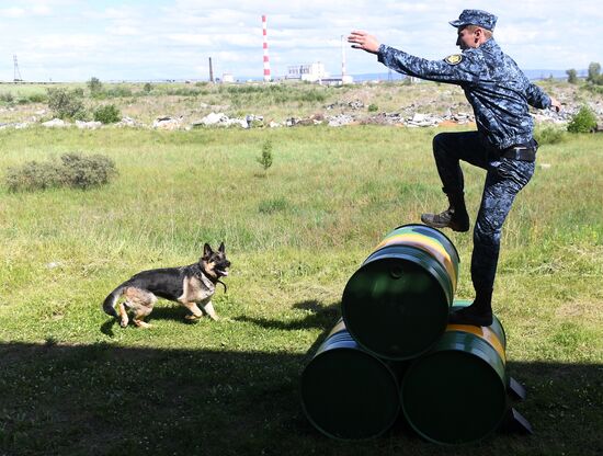 Russia Dog Handlers Competition