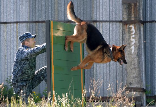 Russia Dog Handlers Competition