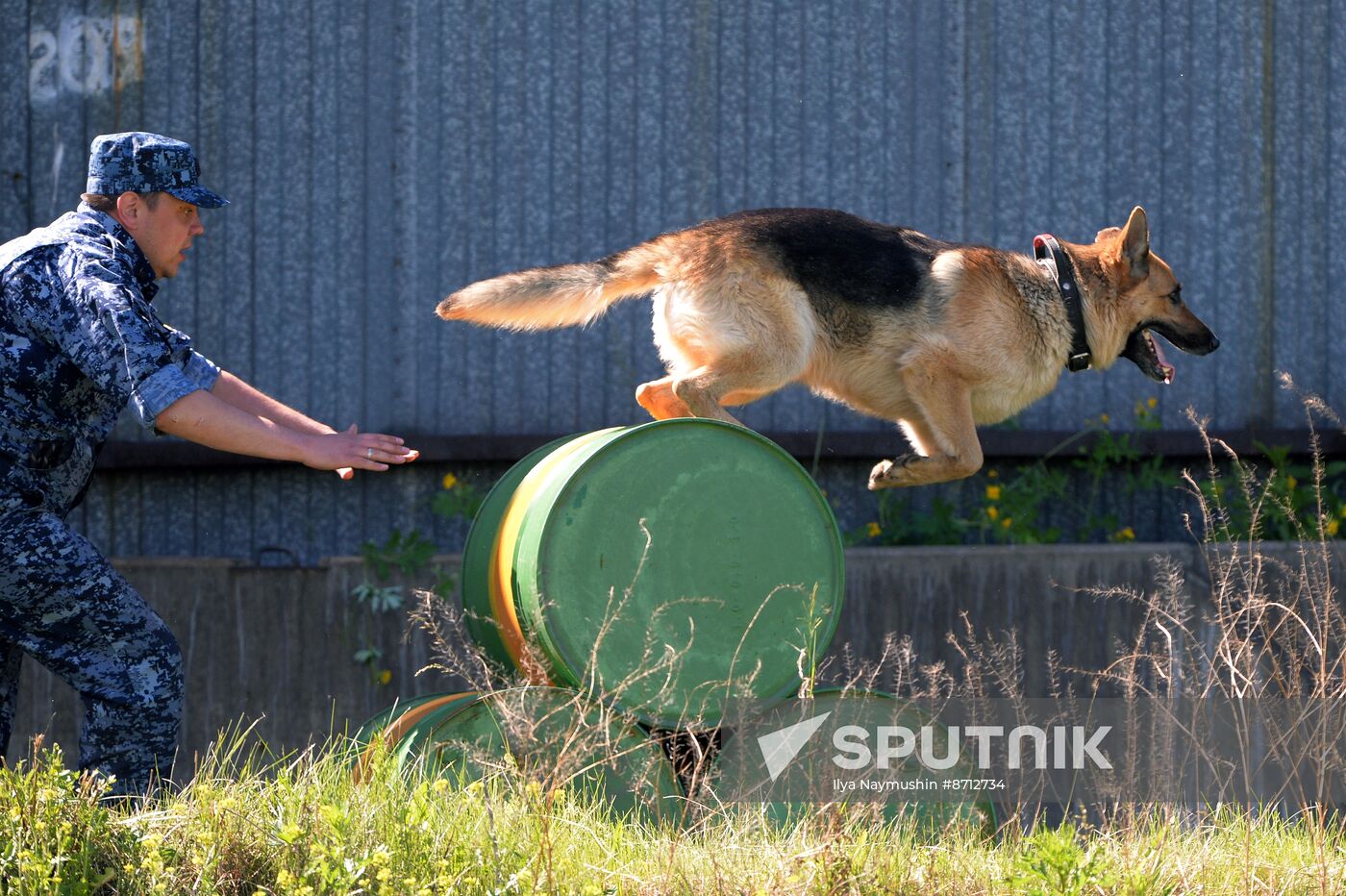 Russia Dog Handlers Competition